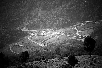 zig-zag