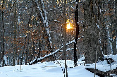 A Long Winter's Night