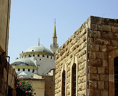 Flowers & Mosque