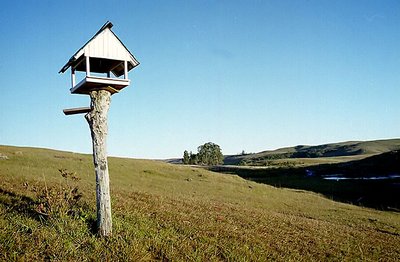 Bird cage