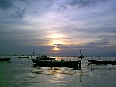 GARÇA E BARCO (Bird and boat)