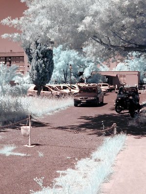 Infrared memories #7