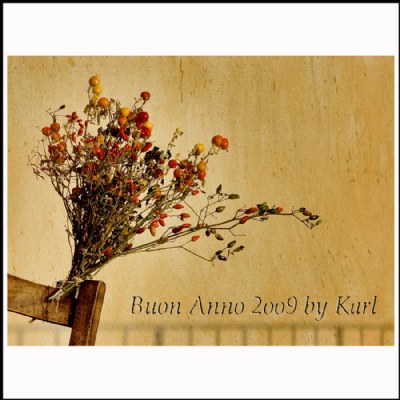 Buon Anno 2oo9 by Karl