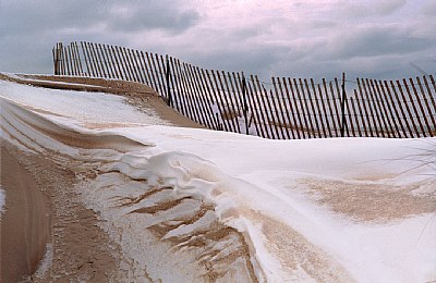 Winter Beach