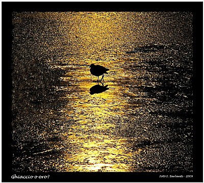 Frozen lake or.... Gold?