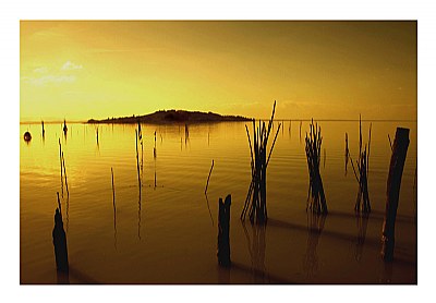 Trasimeno