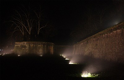 NOCTURNAL WALLS