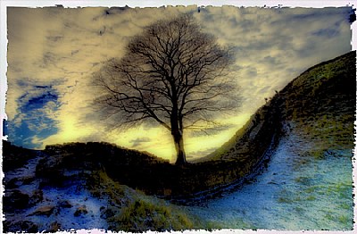 Sycamore Gap Revisited