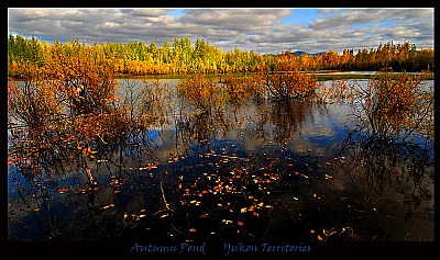 Autumn Pond