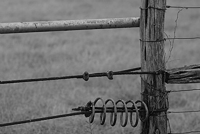 King Ranch fence
