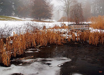 A Winter Landscape