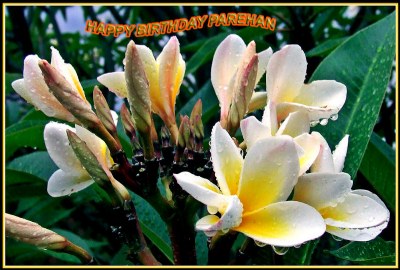 H/Birthday Parehan