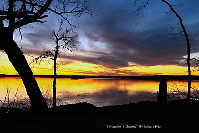 ' Silhouetles In Sunset '