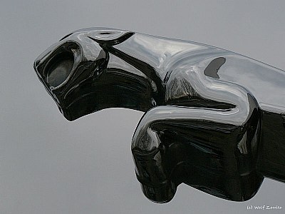 jaguar