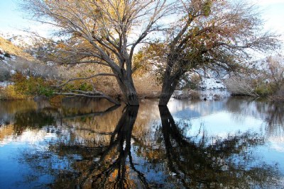 Little Rock Dam Reflection