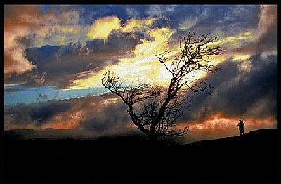 " dopo la tempesta"