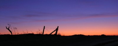 Fence and sunset