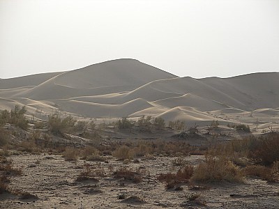 Arid