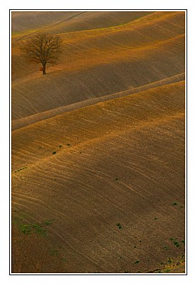 Sunset among the dunes