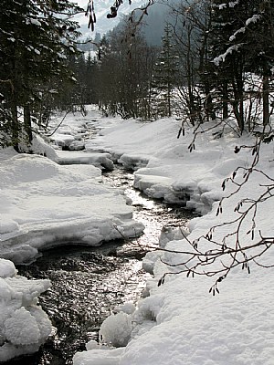 Rivière à Adelboden