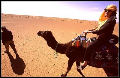 Dana on Camel