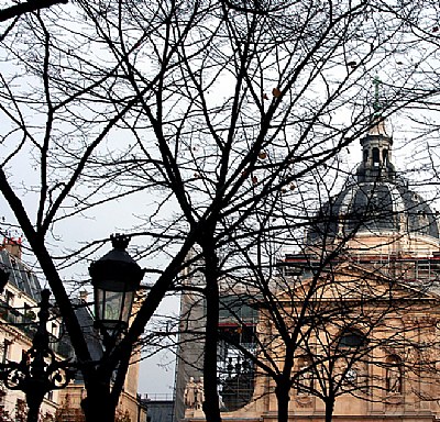 Autumnal Paris 75