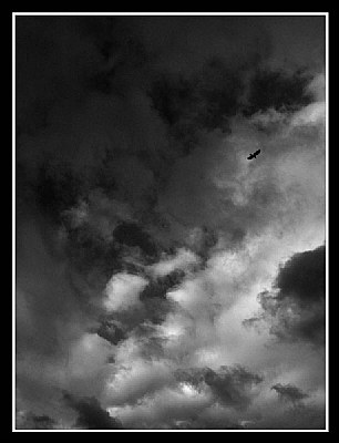 WAITING FOR THE RAIN
