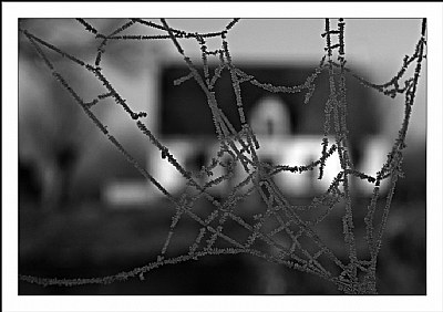 Icy webs
