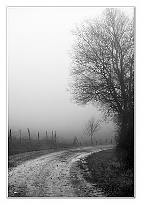 Foggy Road