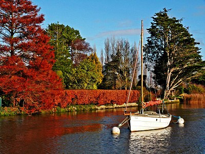 Quiet Anchorage