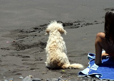 Half Girl & the Dog