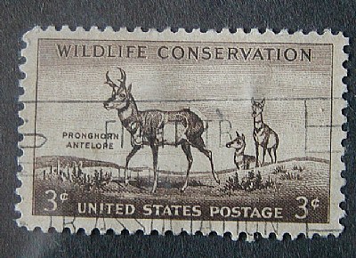 Antelope Stamp