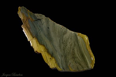 petrified wood