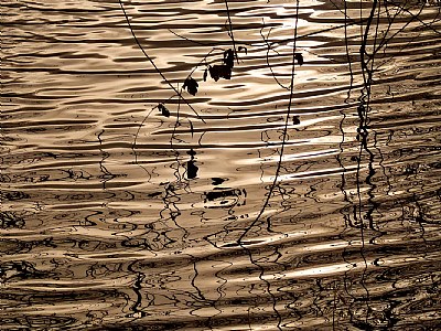Inky Reflections