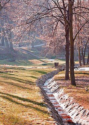 Jagodina