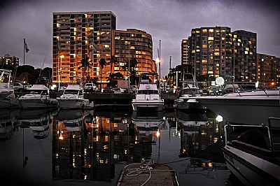 Dockside Reflections
