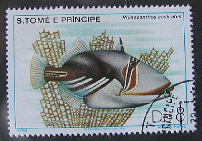 Fish Stamp
