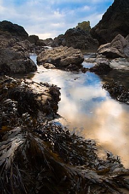 Rockpool