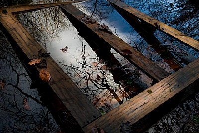 A Pallet of Reflections