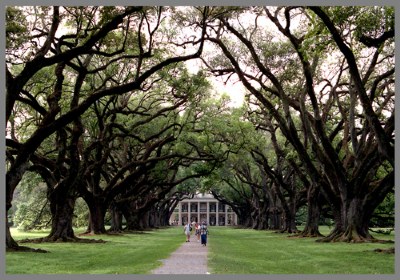 oak alley plantation