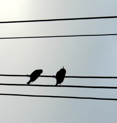 Musical Note 2