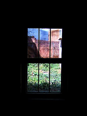  window