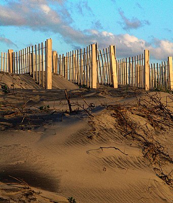 Sand fence and the losing battle