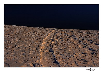 Walking on the Moon