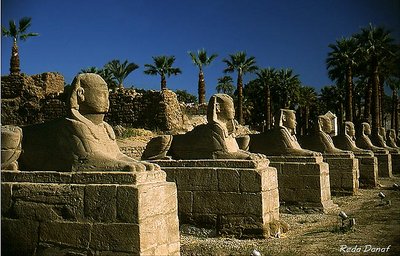 Luxor temple