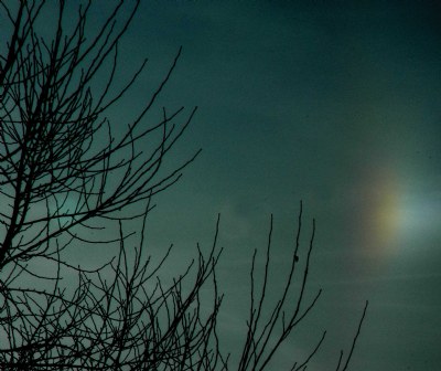 The discrete rainbow