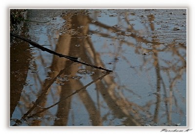 Reflections in the rain... 