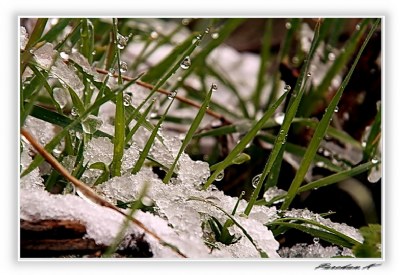 Crystalline Snow..