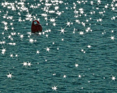 Stars On The Water