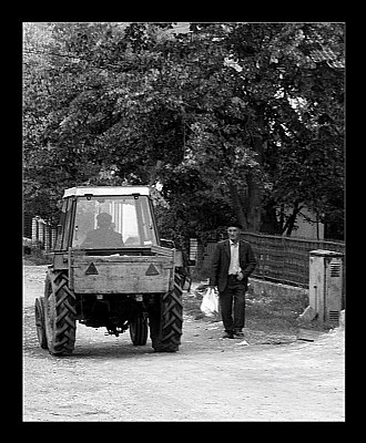 Village Life 